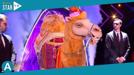 Mask Singer 5 : "Qu'on dégage enfin le Chameau"... polémique avant la finale, Kev Adams pris à parti