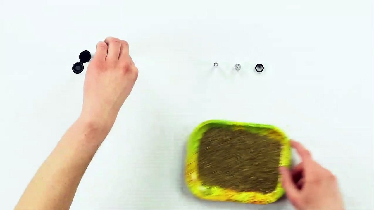 The Weezy - Distributed by Black Ball Corp.