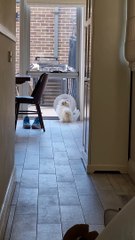 The Importance of Persistence in Daily Life