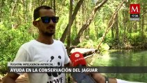 La inteligencia artificial es la protección y monitoreo de una reserva natural de Yucatán