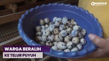 Harga Telur Ayam Mahal, Warga Beralih ke Telur Puyuh