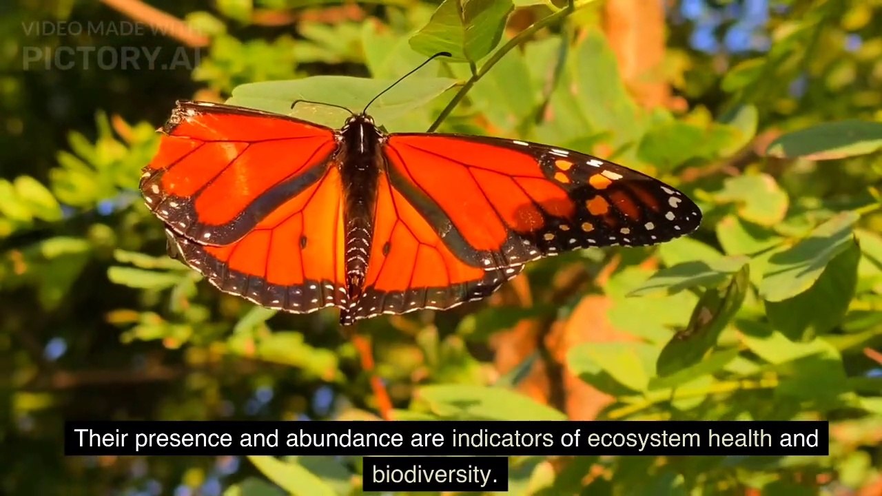 How Butterflies Impact the Ecosystem II Butterfly video Dailymotion