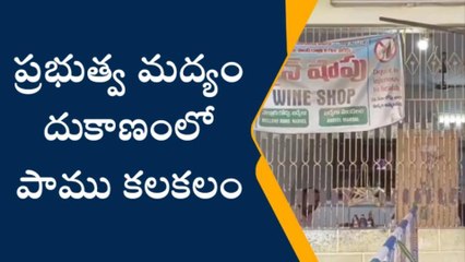 బద్వేల్: మద్యం దుకాణంలో పాము కలకలం