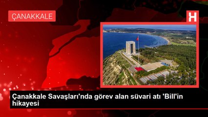 Çanakkale Savaşları'nda görev alan süvari atı 'Bill'in hikayesi