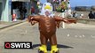 Seaside chippy worker scares off seagulls in an eagle outfit - so customers can eat their food in peace
