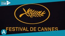 Cannes 2023 : Une Française remporte la Palme d'or, découvrez le palmarès complet !