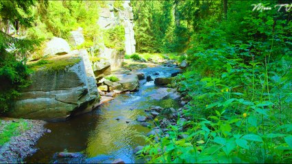 Relaxation Music for Stress Reduction