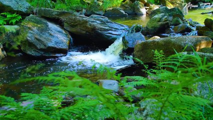 Mindfulness Music for Relaxation