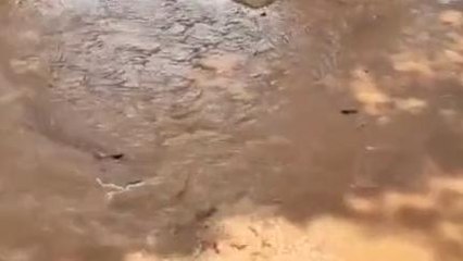 ములుగు: మిషన్ భగీరథ పైప్ లైన్ లీకేజ్.. నీటి వృథా