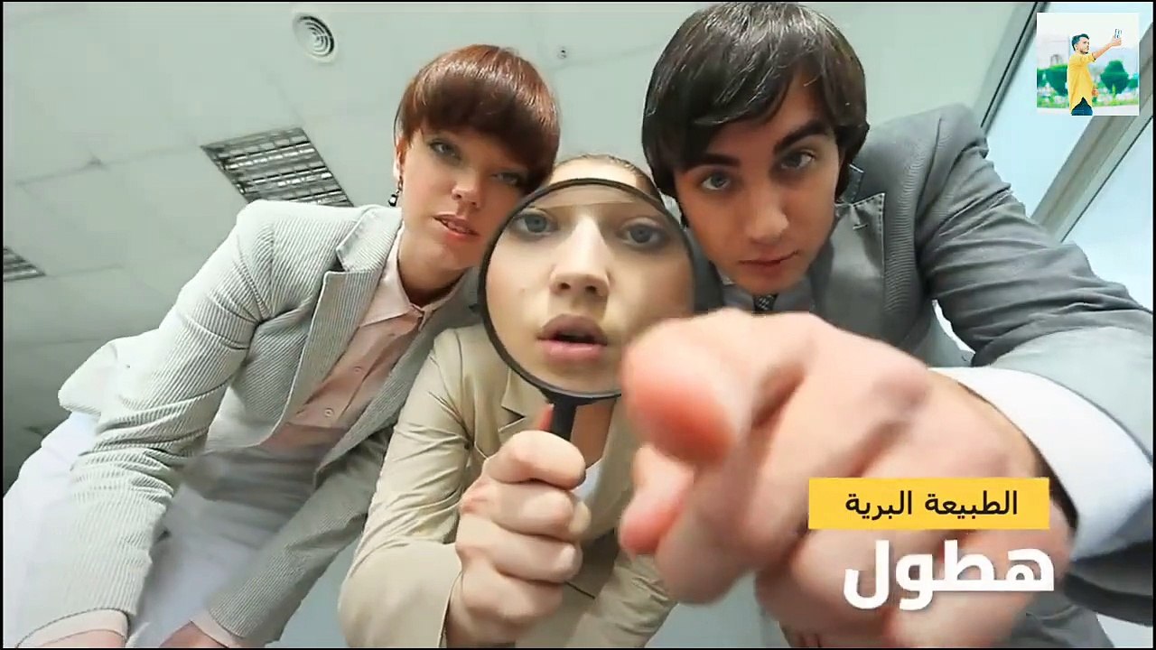 إن كنت تخشى العناكب فلا تشاهد هذا المقطع   Part 1