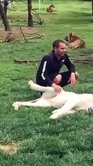 حيوانات مفترسه خطيره تحاول قتل اصحابها   Part 2