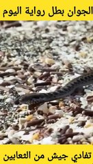 نجأة باعجوبة اذكئ واسرع حيله هروب علئ الاطلاق اما الثعابين السامه