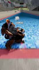 Chiron Pur Sport With Different Levels Of Gravity