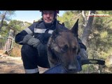 À la rencontre des chiens sauveteurs du bataillon de marins-pompiers de Marseille