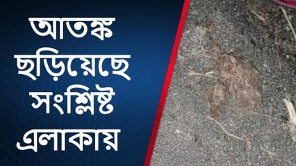 কোচবিহার: চারিদিকে বোমের টুকরো, এলোপাথাড়ি বোম, এলাকায় আতঙ্ক