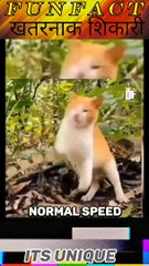 KISKA REACTION TIME SABSE JYADA