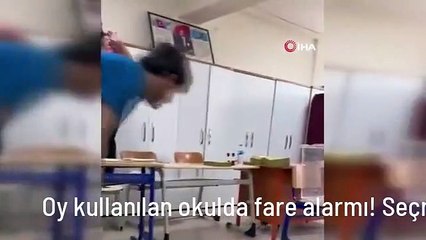 Oy kullanılan okulda fare alarmı! Seçmenler ve görevliler alarma geçti