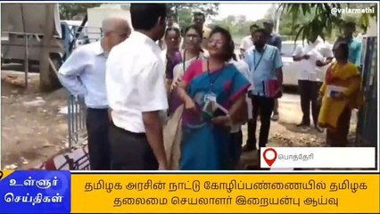 செ.பட்டு: கோழிப்பண்ணையில் தமிழக தலைமை செயலாளர் இறையன்பு ஆய்வு!