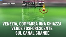 Venezia, comparsa una chiazza verde fosforescente sul Canal Grande