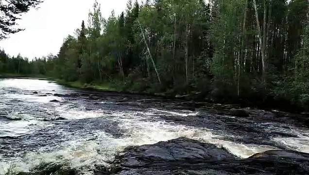 21.KIKO TAROT _ - LA ENSEÑANZA DEL COLIBRÍ- meditación guiada ‐