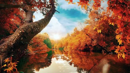 Nature beauty of nature viral video