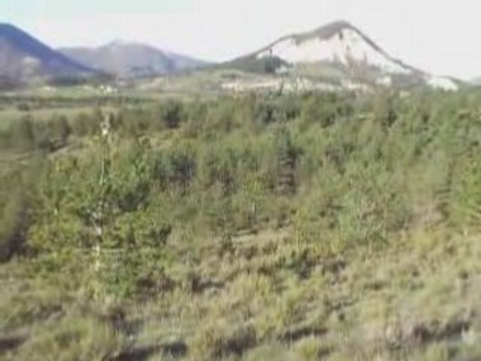 Cerf 8 corps pointu éblachette