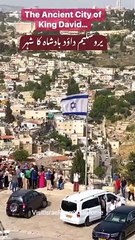 King David City: Jerusalem's Lion 🦁