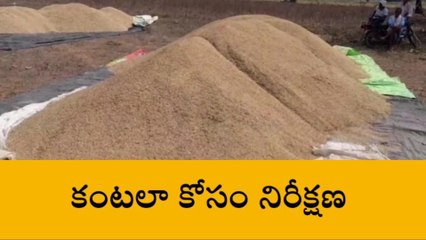 సూర్యాపేట: ధాన్యం కొనుగోలు కేంద్రాల్లో రైతులకు తప్పని తిప్పలు