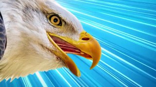 Game Theory Assassin's Creed Eagle Vision Is REAL!