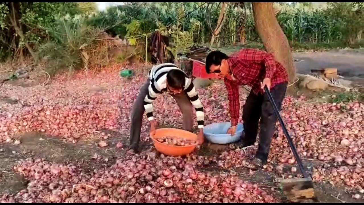 dhar