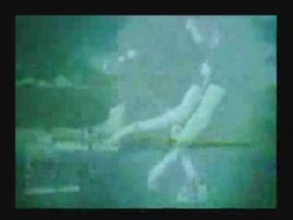 Birdpen - Off