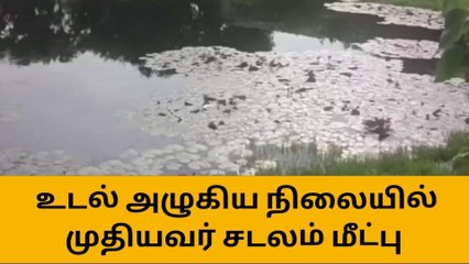 மதுரை:ஊரணியில் குளிக்கச் சென்ற முதியவர் தண்ணீரில் மூழ்கி பலி!