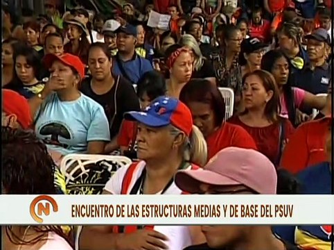 Realizan encuentro de Estructuras Medias y de Base para el fortalecimiento del PSUV