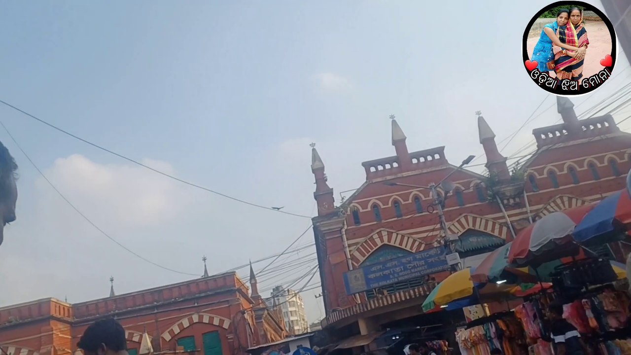 ଆଜି ବୁଲିଯିବା କୋଲକାତାର ର New Market /ମୋ ସହ କାହିଁକି ଏମିତି ହେଲା / Odia New Vlog