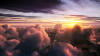 Journey of the Hyena 1973