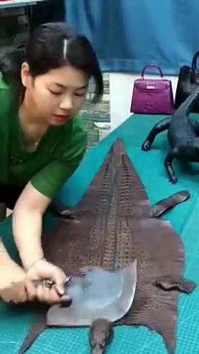 #shorts #shortsviral #viral #shortsvideo #tiktok
