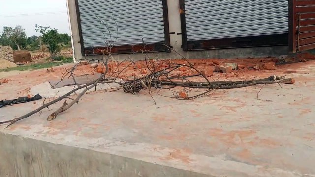 stone pelting in quarrel