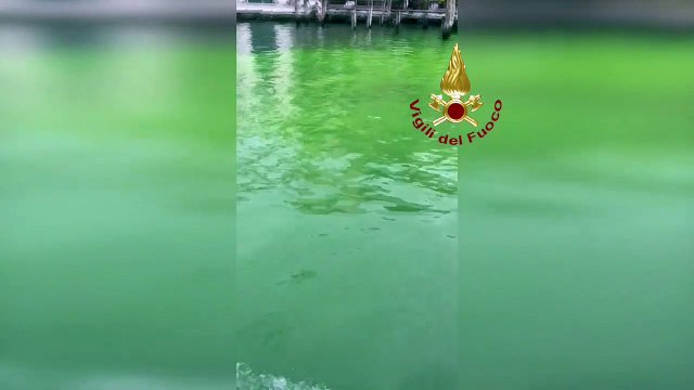 Venezia, una chiazza verde sul Canal Grande