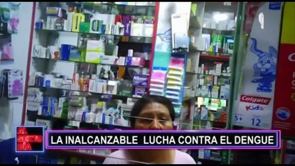 ¿El Perú aterrorizado por el Dengue?: Conozca a los aliados naturales para combatirlo