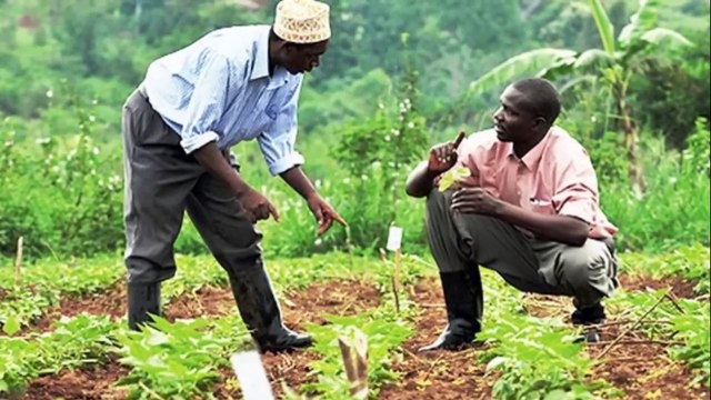 Le KONGO Un Empire COLOSSAL, une histoire PASSIONNANTE au cœur de l'Afrique.