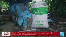 Colombia: desplome del mercado de la hoja de coca deja en dificultades a agricultores