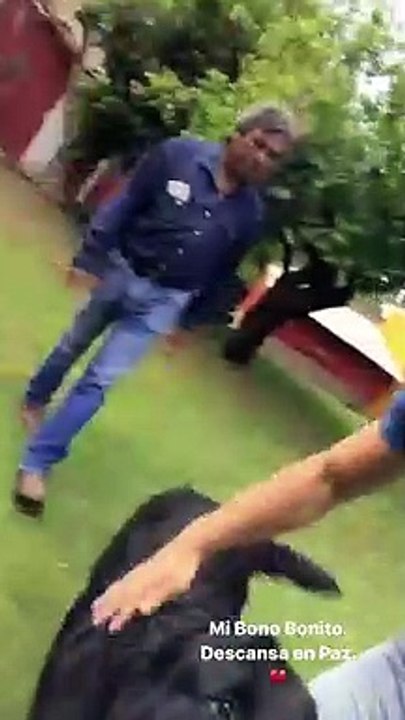 CARLOS RIVERA SE DESPIDE DE SU PERRO BONO