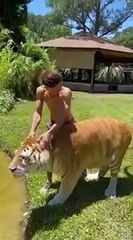 Best Funny Animal Videos of the year (2023) funniest animals ever. relax with cute animals video UTv