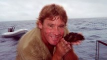 Los Aterradores Últimos Minutos De Steve Irwin El Cazador De Cocodrilos