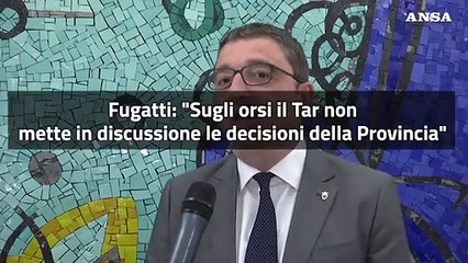 Orsi, Fugatti: "Il Tar non mette in discussione le decisioni della Provincia"