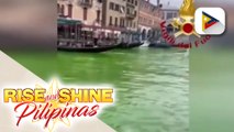 Pagkukulay berde ng grand canal sa Venice, iniimbestigahan na