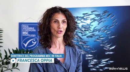 Download Video: Giornata degli oceani: l'importanza della pesca sostenibile