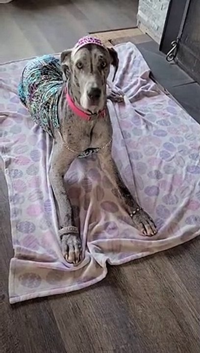 Dane Looks Adorable in Different Outfits