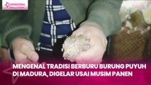 Judul : Mengenal Tradisi Berburu Burung Puyuh di Madura, Digelar usai Musim Panen