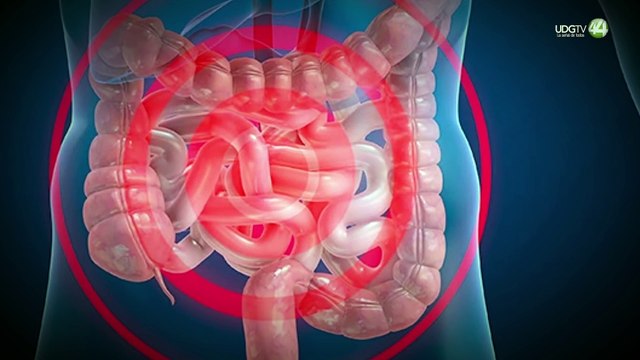 Nace la Sociedad Mexicana de Microbiota para fomentar la investigación de estos microorganismos